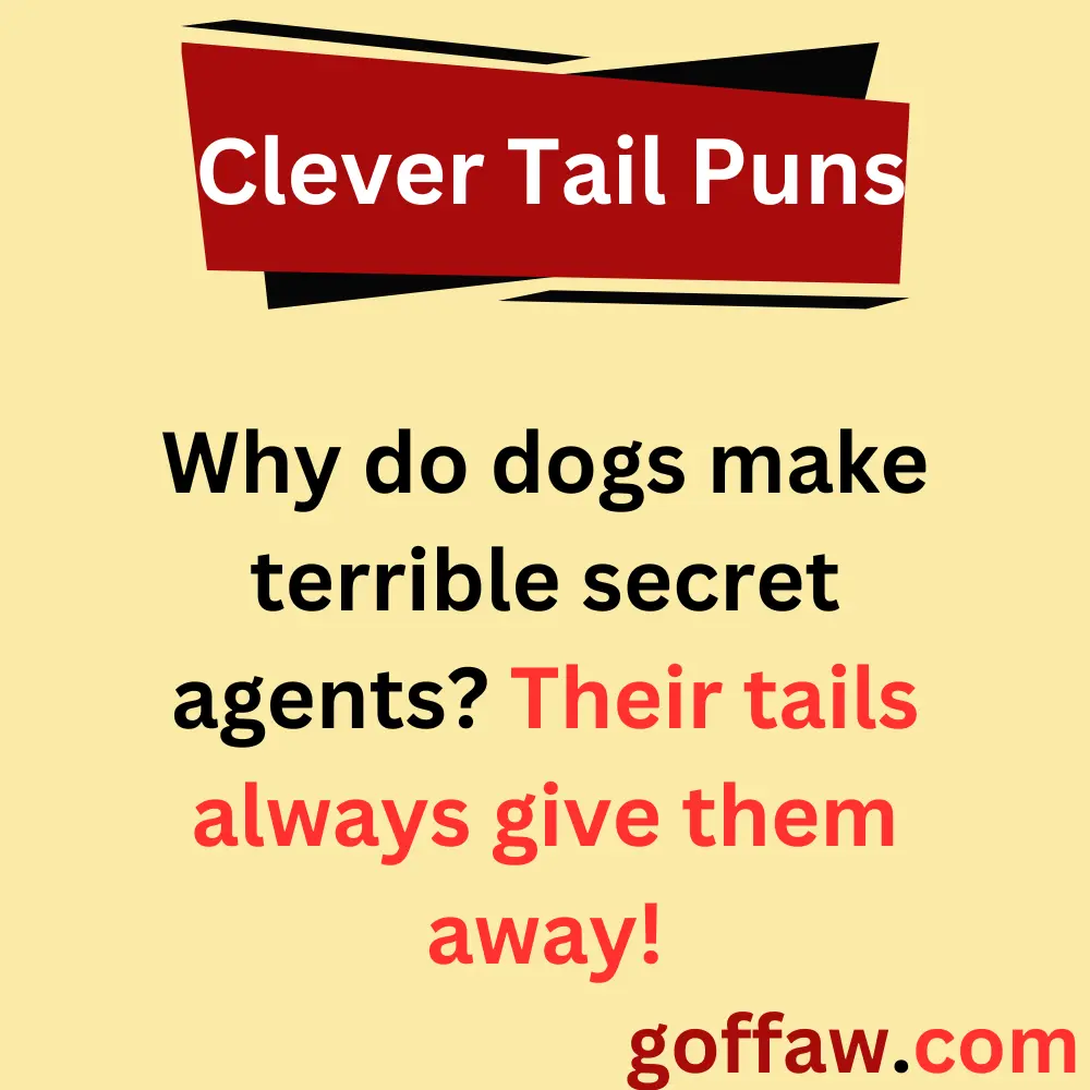 Clever Tail Puns