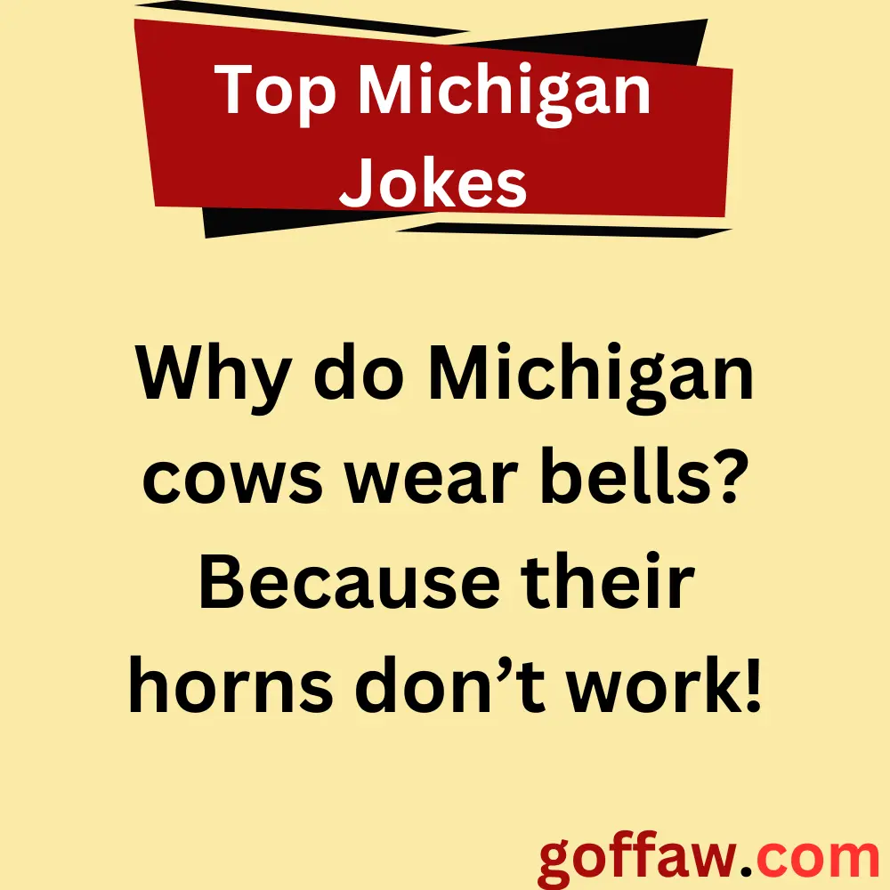 Top Michigan Jokes