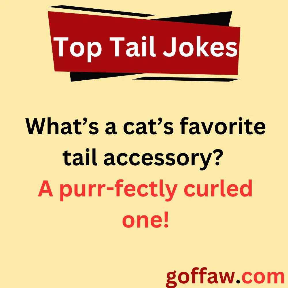 Top Tail Jokes
