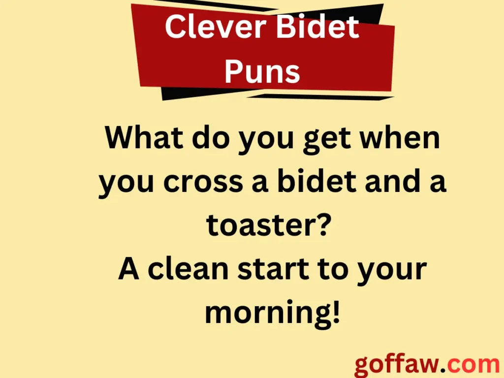 Clever Bidet Puns