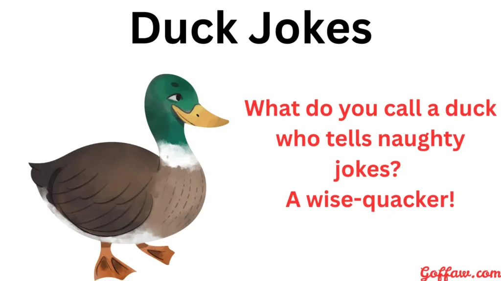 Duck Jokes