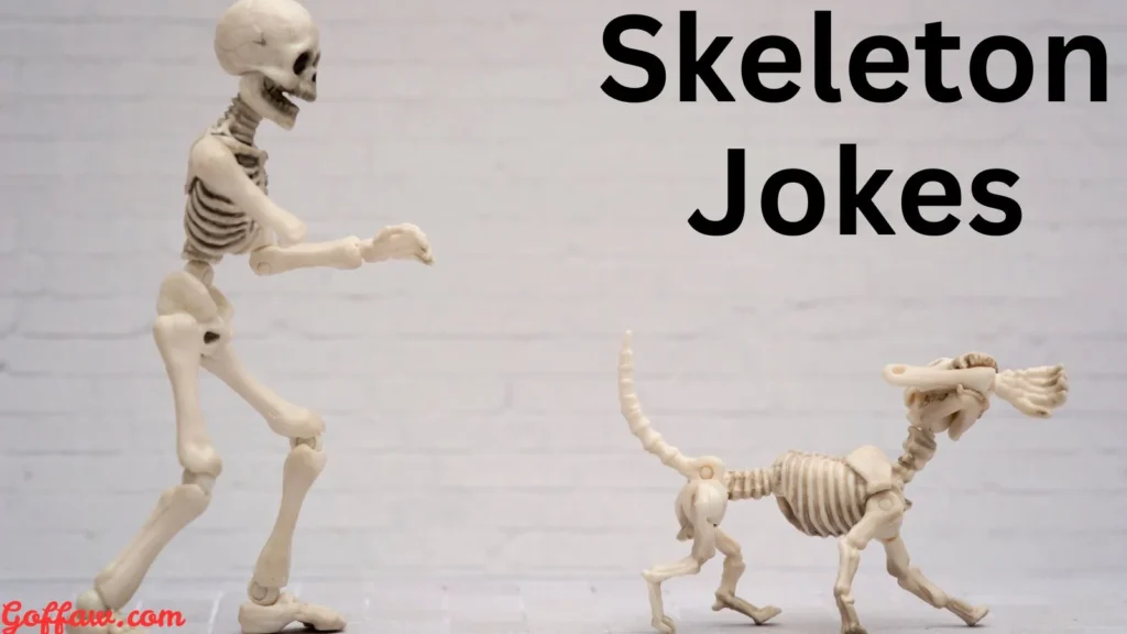 Skeleton Jokes