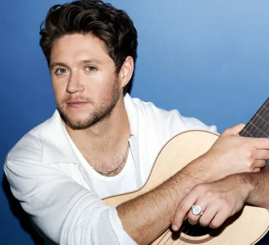 Niall Horan Wife, Age, Height, Weight, Net Worth, Career, And More