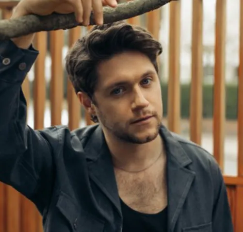 Niall Horan Wife, Age, Height, Weight, Net Worth, Career, And More