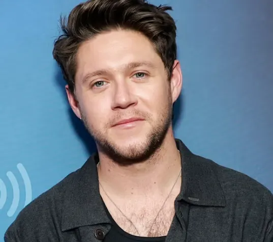 Niall Horan Wife, Age, Height, Weight, Net Worth, Career, And More